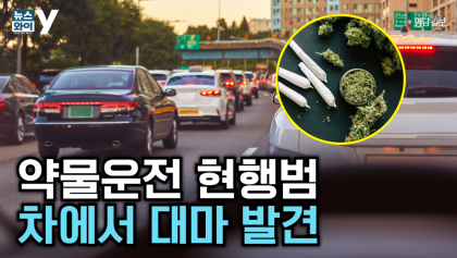 [뉴스와이] 약에 취해 차량 2대 잇달아 충돌···차 안에서 대마 가루 발견된 40대 구속