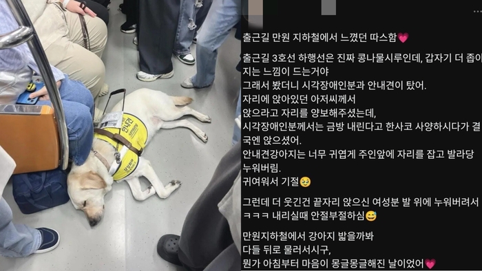 “피곤한지 발라당”…출근길 지하철서 잠든 안내견에 시민들 반응 ‘뭉클’