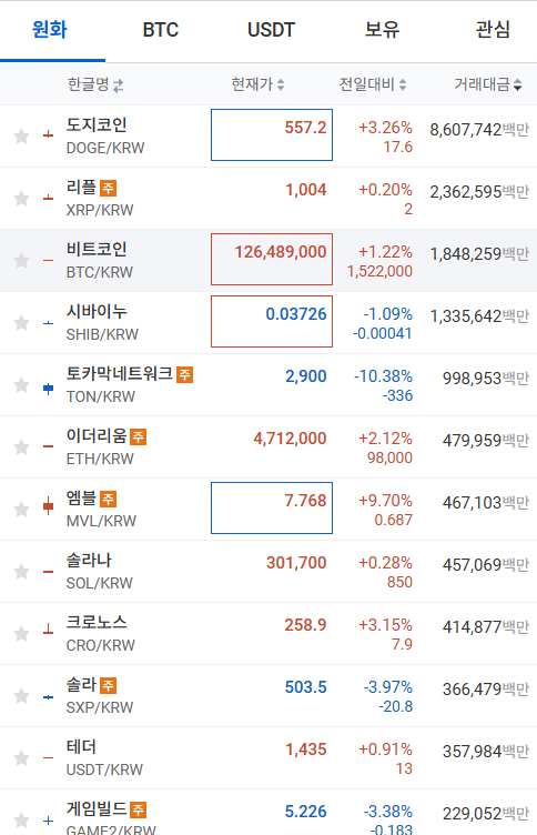 도지코인, 머스크 미 행정부 합류 ‘질주’…비트코인 9만 찍었다