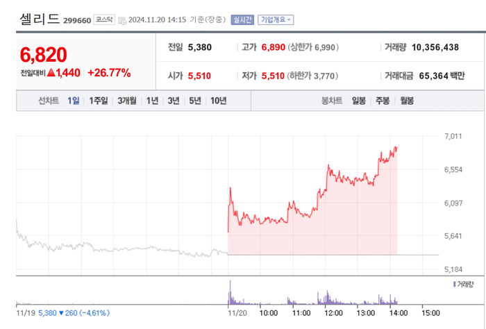 셀리드, 하락 하루만에 다시 급등