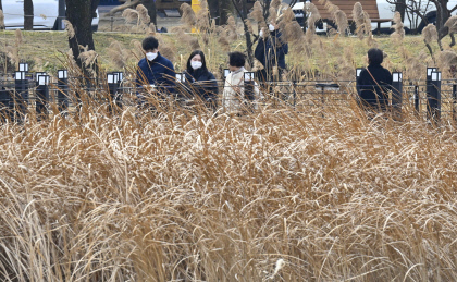 대구 수성못 산책 나온 시민들