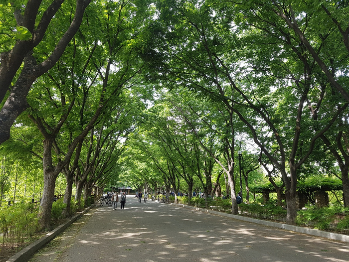 도심 속 휴식처 ‘두류공원’, 대구시 신청사 이전으로 위상 달라지나