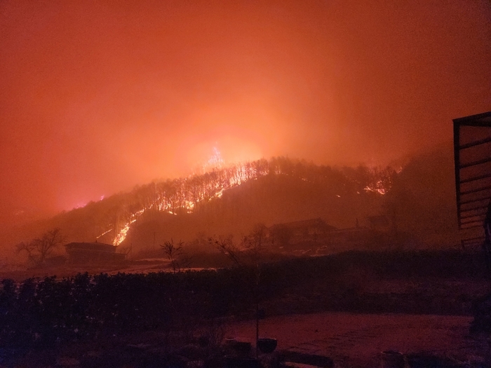 [속보] 의성산불, 청송군 진보면 화재 현장(사진 4장)