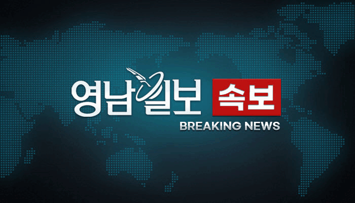 [속보]대구 달성군 함박산 ‘불’ 진화 작업 중