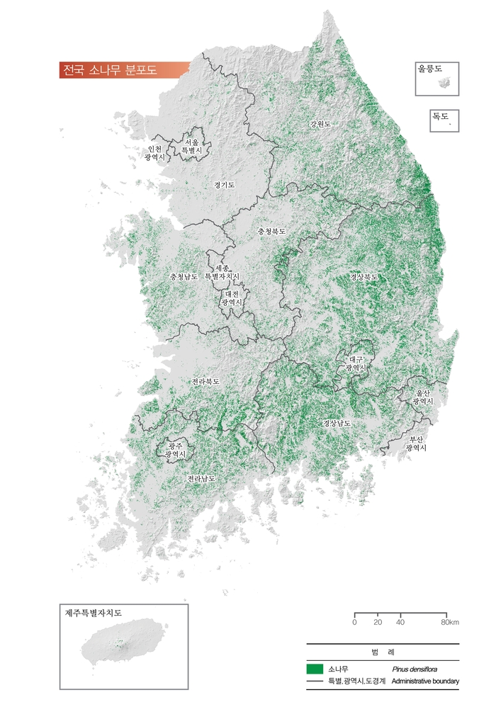 경북 휩쓴 초대형 산불…‘소나무 숲’ 따라 활활 번졌다