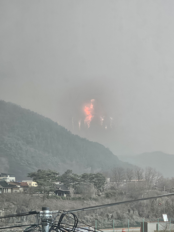 [속보] 청송군 “전 군민, 산불 멀리 떨어진 곳으로 대피”