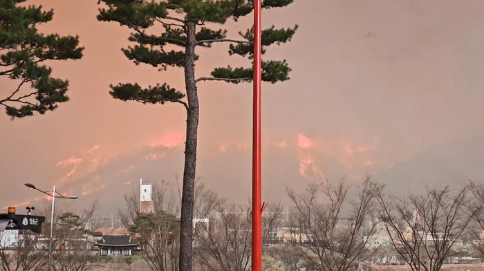 [속보] 청송 주왕산국립공원까지 산불 번져