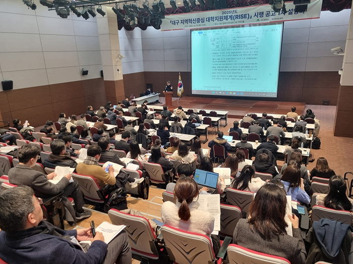 지난 2월 대구경북디자인센터에서 2025년 지역혁신중심 대학지원체계 시행공고 1차 사업설명회가 열리고 있다. 대구시 제공