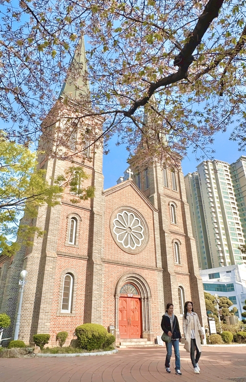 봄꽃 사이로 붉은 벽돌의 고풍스러운 자태를 드러낸 대구 계산성당. 넷플릭스 드라마 폭싹 속았수다 속에서 아이유(양금명 역)가 결혼식을 올린 장소다. <박지현 기자>