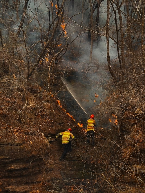 영양소방서 소방관들이 주민들의 생명과 재산 보호를 위해 산불 진화작업을 펼치고 있다.<영양군 제공>