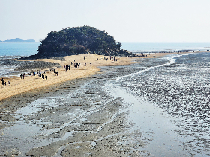 선재도 목섬과 모세 기적길의 비경. 목섬은 밀물 때는 바다에 떠 있는 무인도이지만 물이 나가면 누런 모랫길이 열리고 걸어서 갈 수 있다.