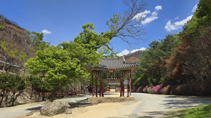산불로 피해를 입었음에도, 봄기운이 완연히 찾아든 고운사 입구의 모습. 마창훈 기자