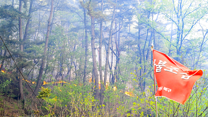 대구 함지산 산불, 23시간만에 주불 진화(종합)