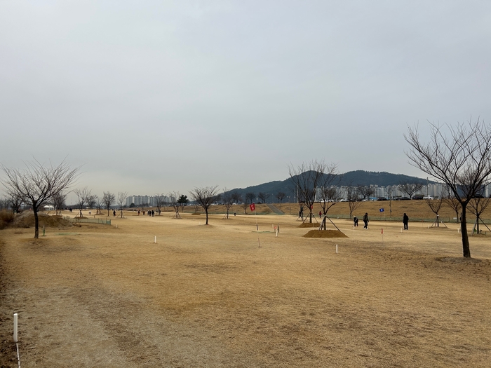 칠곡군 석적읍 파크골프장<칠곡군 제공>