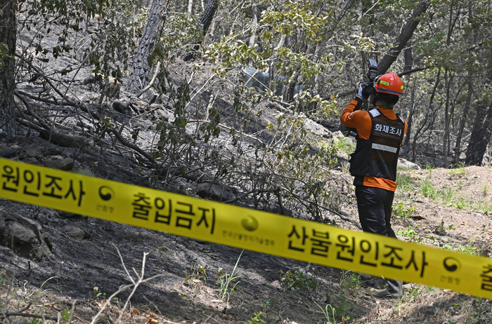 [포토뉴스]  대구 북구 산불 최초 발화 추정지점 현장 감식하는 화재조사관