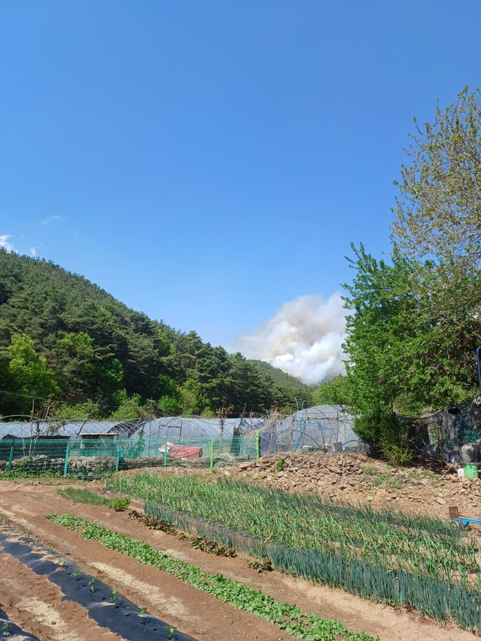 대구 북구 산불 발화지점 특정…잔불은 되살아나 야간진화 지속