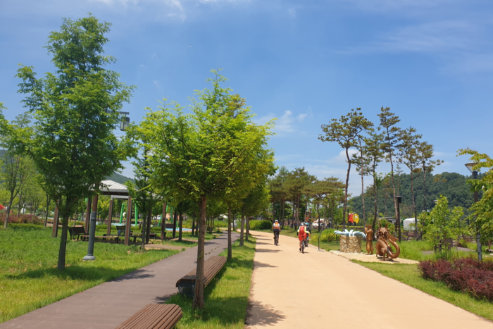 예천 삼강문화단지가 새롭게 단장된 가운데 메타세콰이어 숲길을 따라 마사토 등 자연 소재로 조성된 길이 관광객들의 발길을 유혹하고 있다. <예천군 제공>