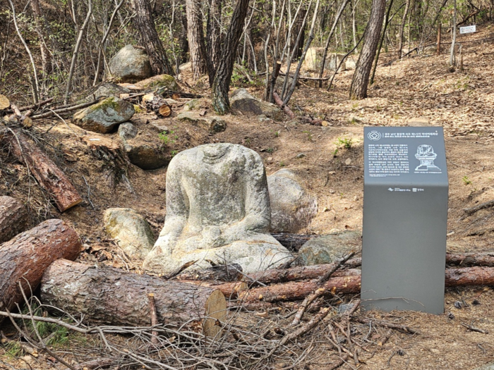 경주 남산에서 인부들이 재선충에 감염된 소나무를 벌목하면서 용장계 사곡 제1사지 석조여래좌상이 훼손된 모습. <독자제공>