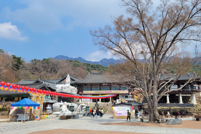 동화사는 3일 임회를 열고 중앙종회의 동화사 팔공총림 해제 결의에 대해 강력한 대응에 나설 것이라고 했다. 동화사 전경. <임훈기자 hoony@yeongnam.com>