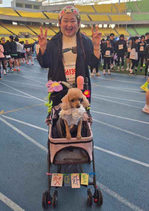 13일 영남일보 국제하프마라톤대회에 참가한 김재원(여·28)씨가 유모차에 애완견을 태운 채 기념촬영을 하고 있다. <구경모기자>