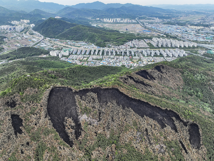 [포토뉴스] 대구 도심 위협한 함지산 산불, 상흔을 남기고 사그라지다