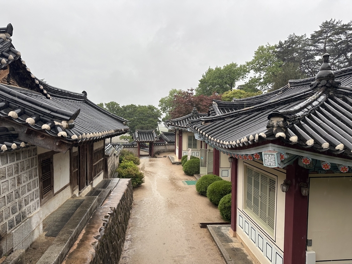 [위클리 커버스토리] 관광으로 살리는 경북산불 피해지역, 화마가 할퀸 경북에 새 희망을…