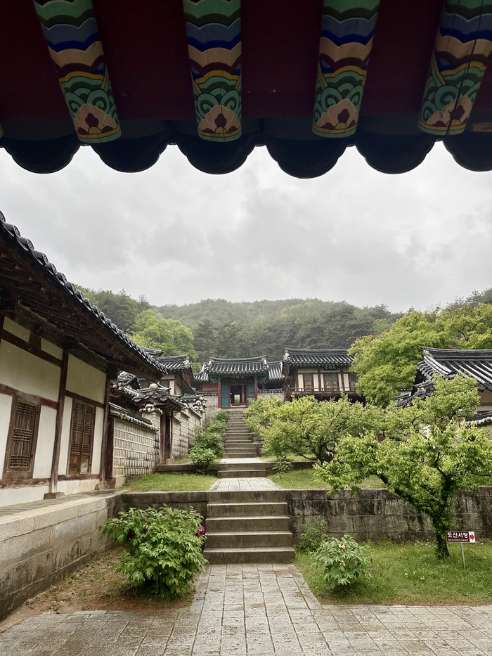 [위클리 커버스토리] 관광으로 살리는 경북산불 피해지역, 화마가 할퀸 경북에 새 희망을…