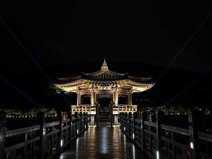 [위클리 커버스토리] 관광으로 살리는 경북산불 피해지역, 화마가 할퀸 경북에 새 희망을…