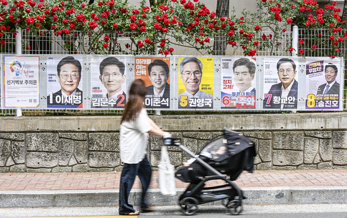 [포토뉴스] 장미의 붉은 물결 속 시민들의 선택은?