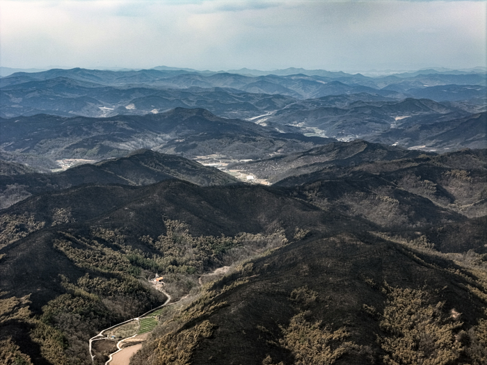 지난 3월29일, 경북 의성군 일대 산림이 산불로 까맣게 그을려 있다. <영남일보 DB>