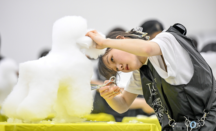 23일 오전, 대구 북구 엑스코(EXCO)에서 열린 '제22회 대구펫쇼'의 일환으로 진행된 '위그 미용 콘테스트'에서 한 참가자가 솜으로 만든 강아지 모형을 정성스럽게 다듬고 있다.
이현덕기자 lhd@yeongnam.com