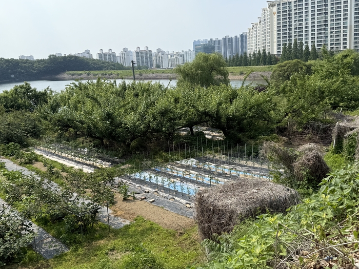 28일 오전 11시쯤 찾은 '수밭공원 조성사업'부지. 현재 일대는 안근 주민들이 농작물 등을 제배하는 경작지로 활용되고 있다.