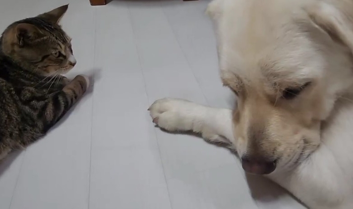 사진:영남일보 구경모 기자.