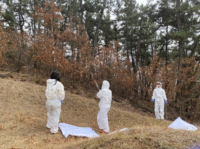 진드기를 채집 중인 모습. 대구시 제공
