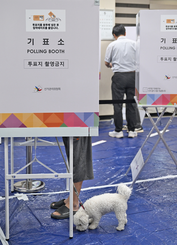 제21대 대통령선거 사전투표 첫날인 29일 오전 반려견과 동행한 한 유권자가 대구 수성구 범어1동 사전투표소에서 투표를 하고 있다.
이지용기자 sajahu@yeongam.com