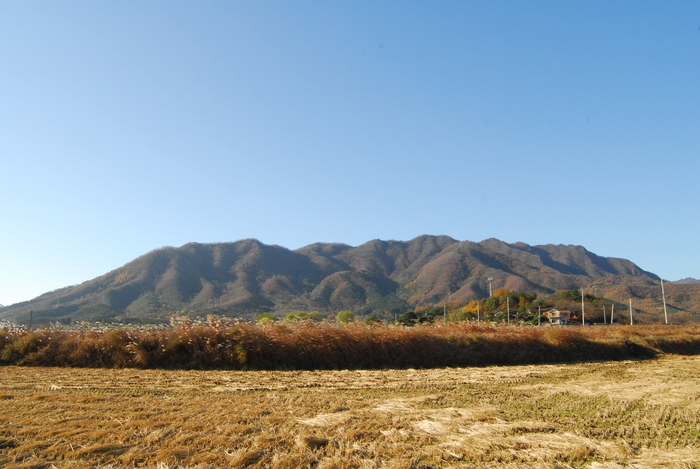 경주 오봉산. 영남일보DB