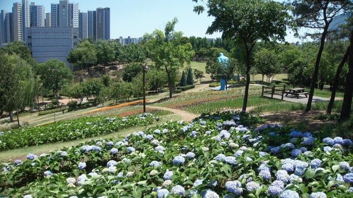 수국과 마리골드, 스텔라원추리, 달리아 등 여름 꽃들이 피어나고 있다. 이현공원은 과거 주민들이 텃밭으로 이용하던 야산으로 구릉진 산세 그대로 공원을 조성했다.