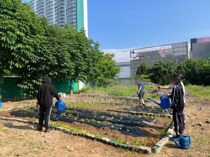 대구 동부고 학생들이 멘토를 맡은 교사와 함께 텃밭에 모종을 심고 있다. <대구동부고 제공>