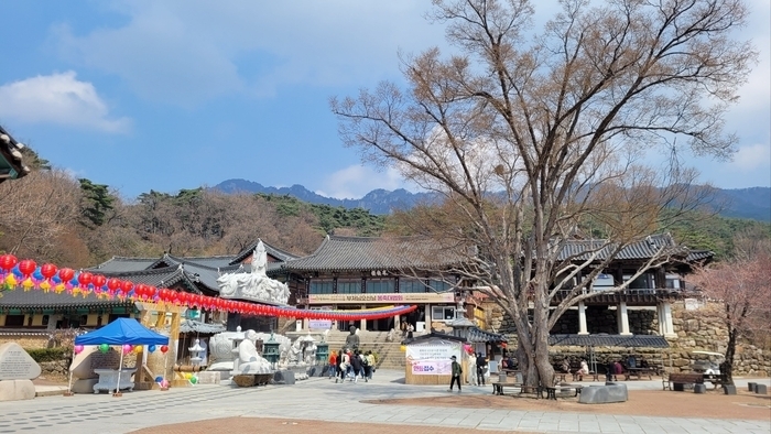 동화사 전경.<영남일보 DB>
