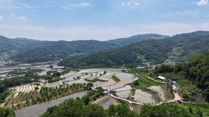 경북 상주시 낙동면 용포리. 산기슭을 따라 계단처럼 이어진 논이 초여름 볕을 머금은 채 푸르게 일렁인다. 논마다 고랑을 따라 물이 반짝이고 모심기가 끝난 이랑은 이제 막 생명을 틔우기 시작한 듯 생생하다. 농부의 발길이 만든 선들이 하나의 거대한 풍경화가 된다.
산비탈을 깎고 물을 끌어와 만든 논에는 지혜와 노동의 시간이 층층이 새겨져 있다. 최근엔 SNS를 통해 알려지며 사진작가들과 여행객들이 특별한 장면을 담기 위해 찾는 명소로 떠올랐다. 경북문화관광공사 제공