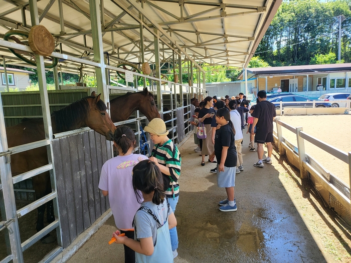 지난 14일 예천승마클럽에서 열린 학생대상 승마체험에서 관내 초·중·고교생 및 학교 밖 청소년 등이 가족들과 함께 체험용 말들을 둘러보고 있다. <예천군 제공>