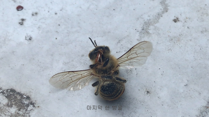 김희선 '마지막 한 방울'
