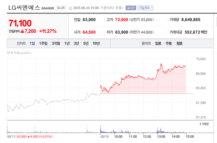 출처;네이버pay증군
