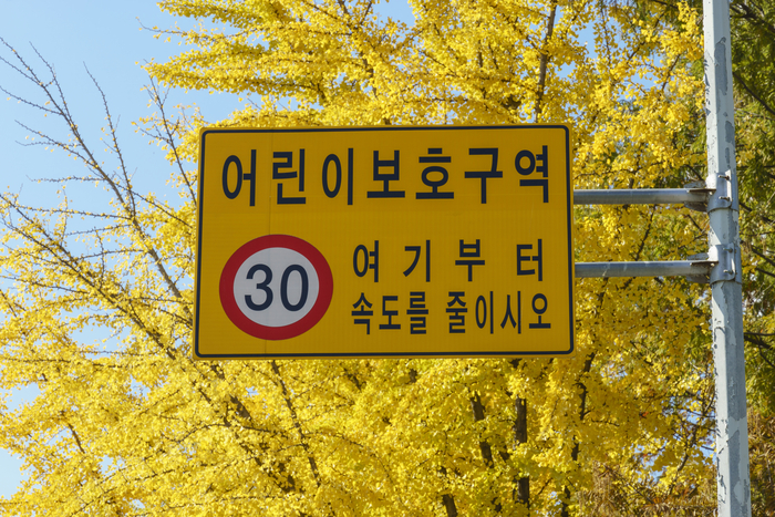출처- 게티이미지뱅크