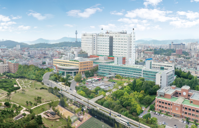 영남대병원 전경.