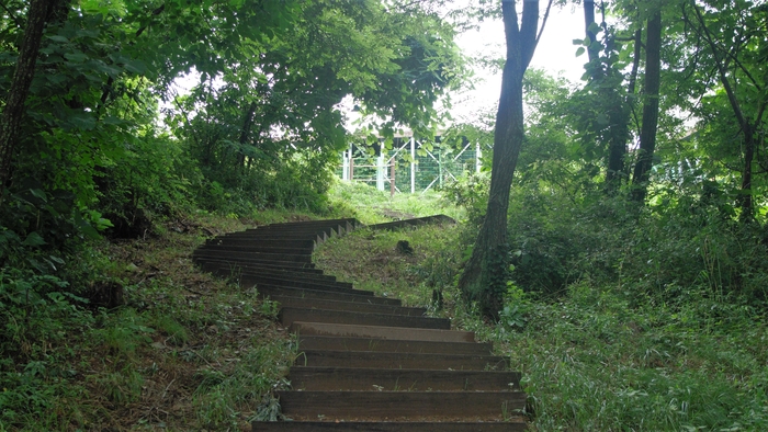 용산재 맞은편에서 시작하는 등산로는 상리봉까지 최단거리다. 초반의 짧은 완경사 이후로 줄곧 가파른 계단이 이어진다.