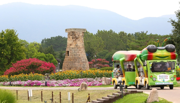 경주 첨성대 동부사적지 일원 꽃밭을 운행 중인 경주시 관광전기차 모습. 경주시 제공