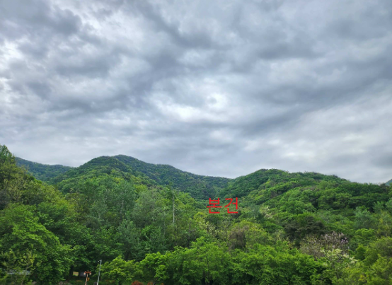 관리번호: 2025-00584-003