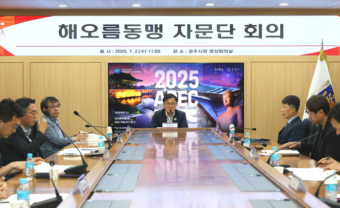 해오름동맹광역추진단은 2일 경주시청 영상회의실에서 '2025년 해오름동맹 자문단 회의'를 가졌다. 경주시 제공
