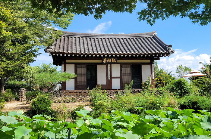 토향고택 내 용호정 모습. 정원과 연못, 주변 야생화가 어우러져 조화로운 한옥의 미학을 보여준다. <봉화군 제공>